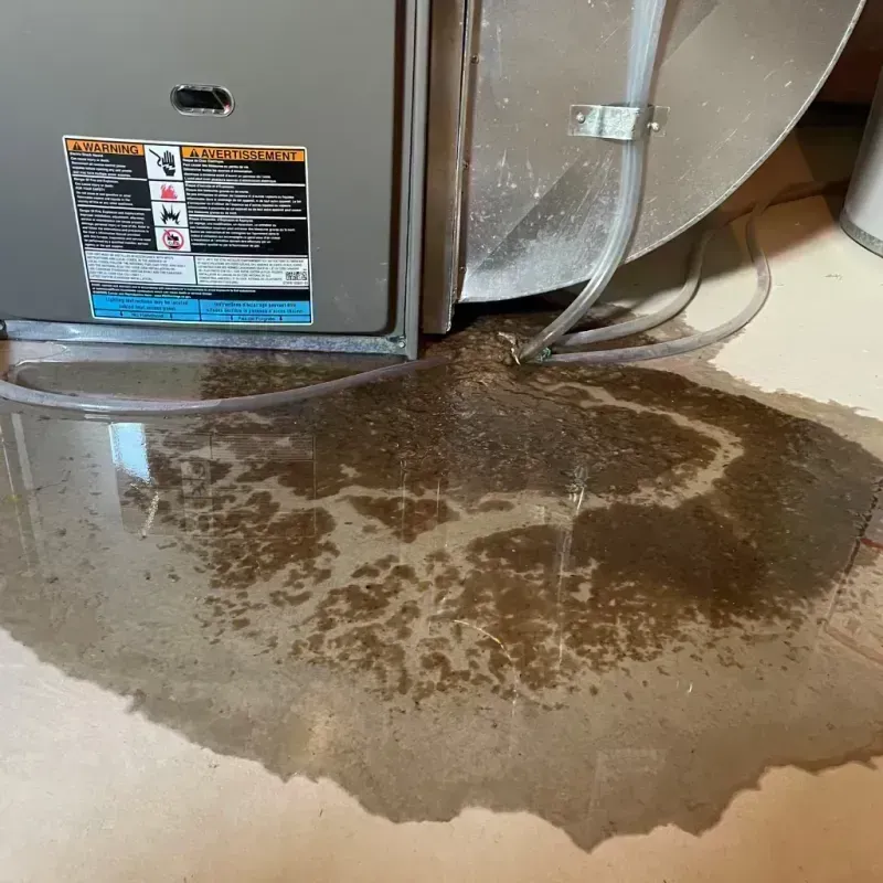 Appliance Leak Cleanup in Morgan County, WV